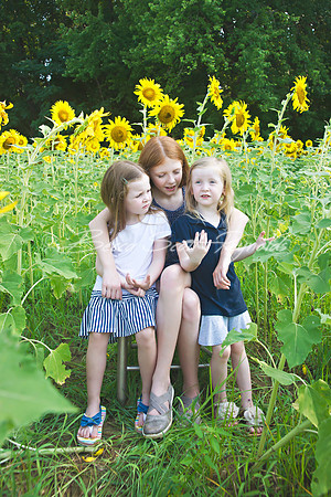 fein sunflowers - 10