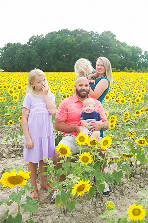 williams sunflowers - 26