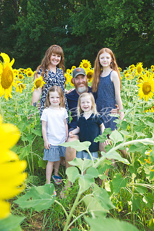 fein sunflowers - 02