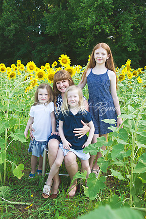 fein sunflowers - 07