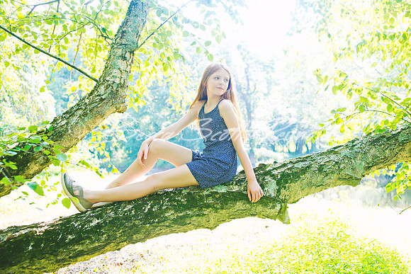 fein sunflowers - 27