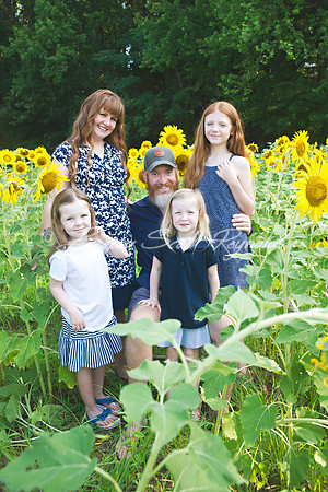 fein sunflowers - 04
