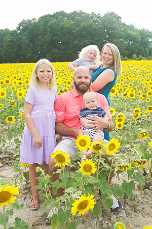 williams sunflowers - 25