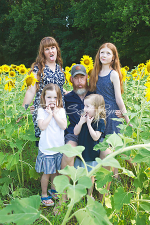 fein sunflowers - 03