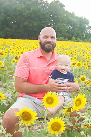williams sunflowers - 23