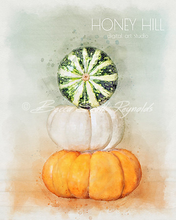 Orange Pumpkin Set