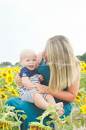 williams sunflowers - 22
