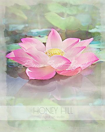 Water Lily/Lotus July Birth Month Flower