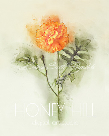 Marigold October Birth Month Flower