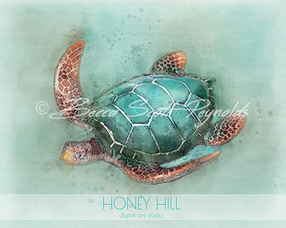 Sea Turtle