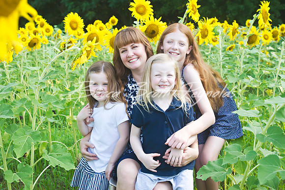 fein sunflowers - 08