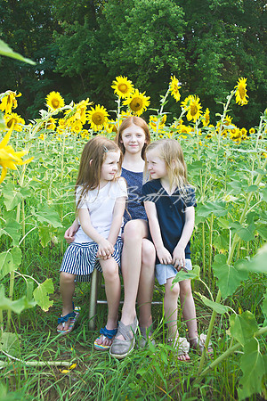 fein sunflowers - 12